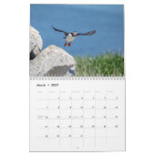 大西洋パフィン2026 カレンダー (3月 2027)