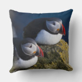 大西洋パフィン（アルクチカ） 7 クッション (裏面)