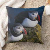 大西洋パフィン（アルクチカ） 7 クッション (ブランケット)