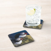 大西洋パフィン（アルクチカ） 7 コースター (右側)