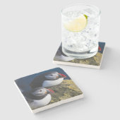 大西洋パフィン（アルクチカ） 7 ストーンコースター (横)