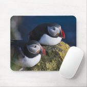 大西洋パフィン（アルクチカ） 7 マウスパッド (マウス)