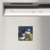 大西洋パフィン（アルクチカ） 7 マグネット (インサイチュ (食洗機))