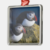 大西洋パフィン(アルクチカ) 7 メタルオーナメント (左)