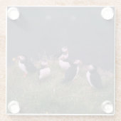 大西洋パフィン ガラスコースター (裏面)