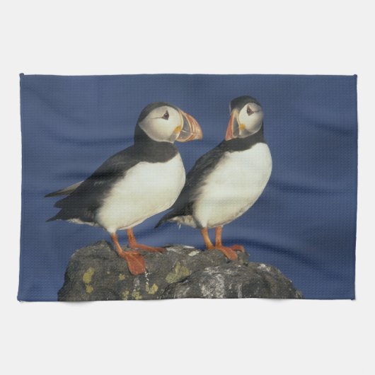 大西洋パフィン キッチンタオル (横)