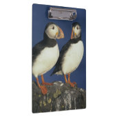 大西洋パフィン クリップボード (右)