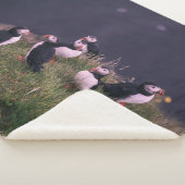 大西洋パフィン シェルパブランケット (3/4)