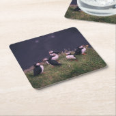 大西洋パフィン スクエアペーパーコースター (アングル)