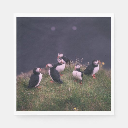 大西洋パフィン スタンダードランチョンナプキン (正面)