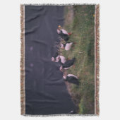 大西洋パフィン スローブランケット (正面縦)