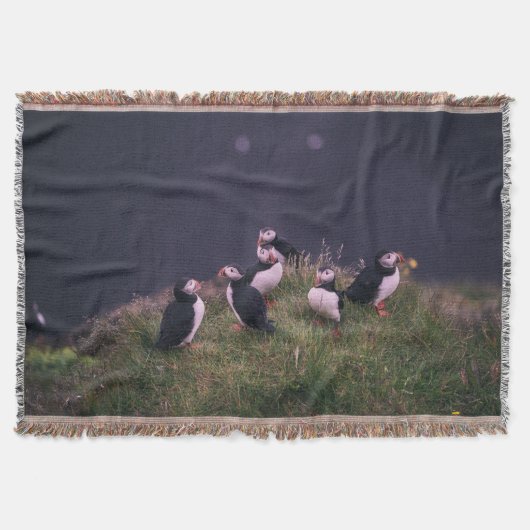 大西洋パフィン スローブランケット (正面)