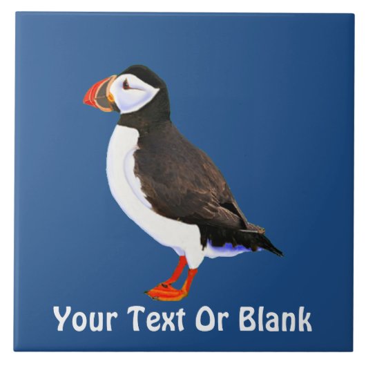 大西洋パフィン タイル (正面)
