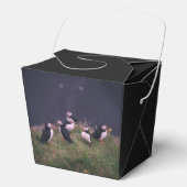 大西洋パフィン フェイバーボックス (正面)