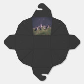 大西洋パフィン フェイバーボックス (見開き)