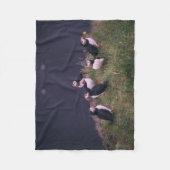 大西洋パフィン フリースブランケット (正面)