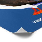 大西洋パフィン ポスター (角)