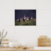 大西洋パフィン ポスター (キッチン)