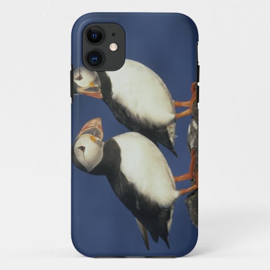 大西洋パフィン Case-Mate iPhoneケース (裏面)