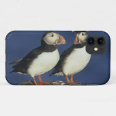 大西洋パフィン Case-Mate iPhoneケース (裏面(横))