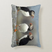 大西洋プフィン群 アクセントクッション (正面(垂直))