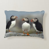 大西洋プフィン群 アクセントクッション (裏面)