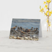 大西洋岸海岸ショアバード：デラウェア湾 カード (黄色い花)