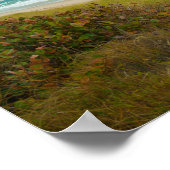 大西洋海フロリダビーチ ポスター (角)