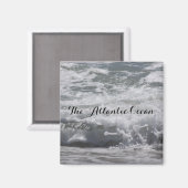 大西洋海磁石 マグネット (正面/裏面)