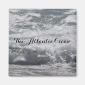 大西洋海磁石 マグネット (正面)