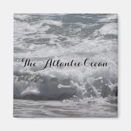 大西洋海磁石 マグネット