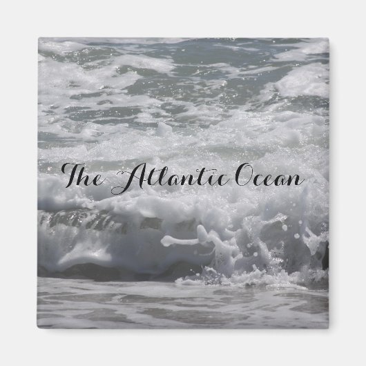 大西洋海磁石 マグネット (正面)