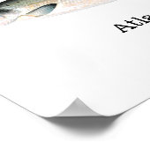 大西洋産サケ ポスター (角)