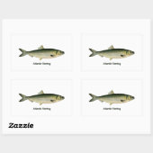 大西洋産ニシン 長方形シール (シート)