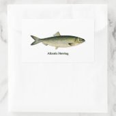 大西洋産ニシン 長方形シール (バッグ)