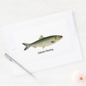 大西洋産ニシン 長方形シール (封筒)