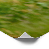 大西洋産パフィン飛んでいるのポスター ポスター (角)