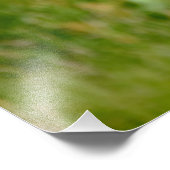 大西洋産パフィン飛んでいるプリント フォトプリント            (角)