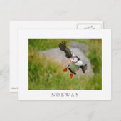 大西洋産パフィン飛んでいる鳥の白文字葉書 ポストカード (正面/裏面)