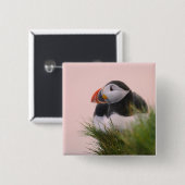 大西洋産パフィン（アルクチカ） 6 缶バッジ (正面&裏面)