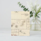 大西洋諸島 ポストカード (スタンド正面)