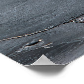 大西洋陛下：カボサンパブロビーチ ポスター (角)