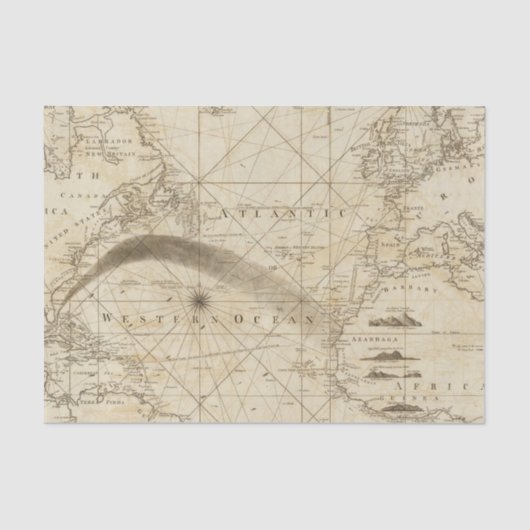 大西洋 薄葉紙 (正面)