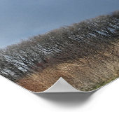 大規模な雲の避難場所のポスター ポスター (角)