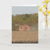 大豆の収穫 カード (黄色い花)