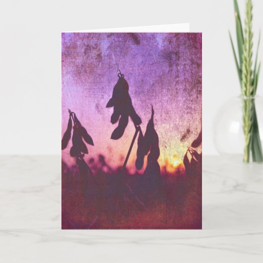 大豆の夕日グランジ カード (正面)