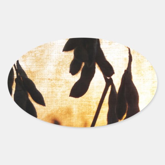 大豆の夕日 楕円形シール (正面)