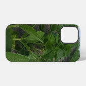 大豆畑農業農作物 iPhoneケース (裏面横)