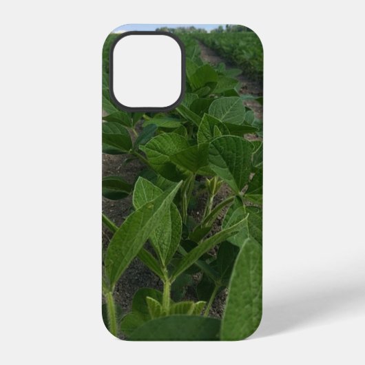 大豆畑農業農作物 iPhoneケース (裏面)