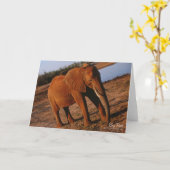 大赤象グリーティングカード カード (黄色い花)